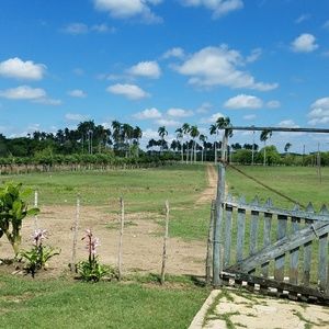 Meet your Posher, Yanelis